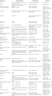 Prokaryotic Collagen-Like Proteins as Novel Biomaterials